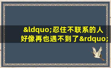 “忍住不联系的人 好像再也遇不到了”